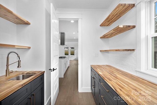 kitchen featuring dark wood-style flooring, wooden counters, a sink, and open shelves