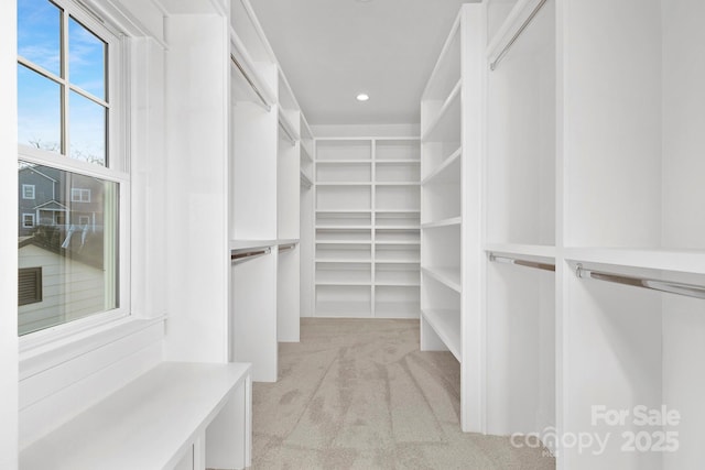 spacious closet with light carpet