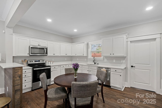 kitchen with white cabinetry, dark wood-style flooring, appliances with stainless steel finishes, and a sink