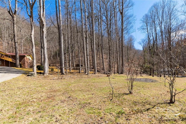 view of yard featuring a forest view