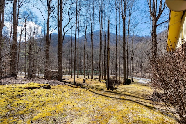 exterior space with a wooded view