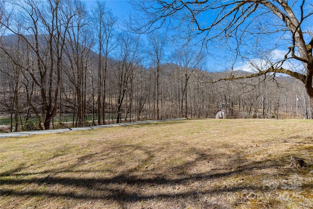 view of yard featuring a forest view