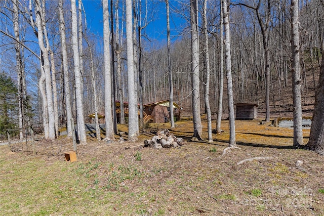 view of yard featuring a view of trees