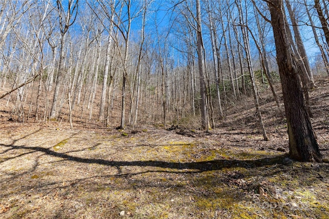 view of nature with a view of trees