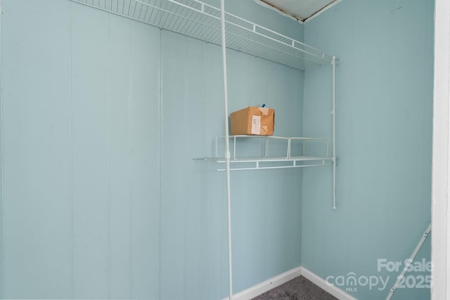 spacious closet with carpet floors