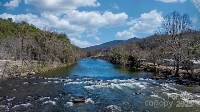 property view of water with a mountain view and a forest view