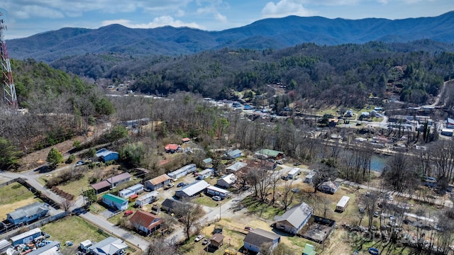 birds eye view of property featuring a mountain view and a forest view