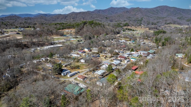 birds eye view of property featuring a mountain view