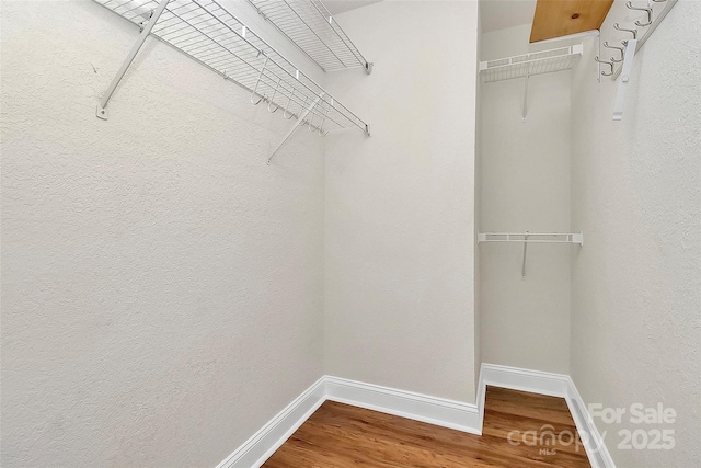 walk in closet featuring wood finished floors