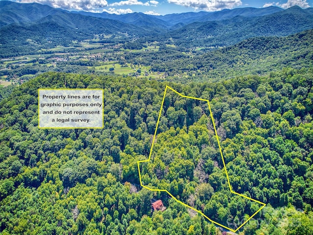 00 Yellow Locust Dr, Waynesville NC, 28786 land for sale