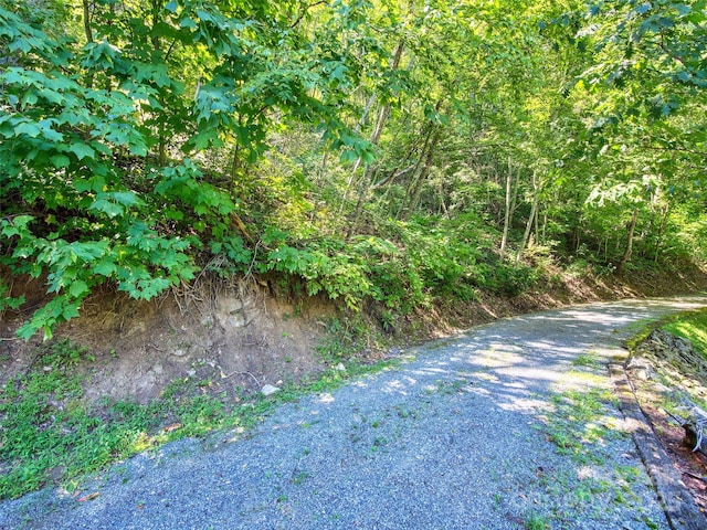 Listing photo 3 for 00 Yellow Locust Dr, Waynesville NC 28786