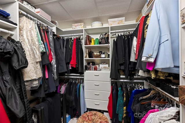 spacious closet with a paneled ceiling