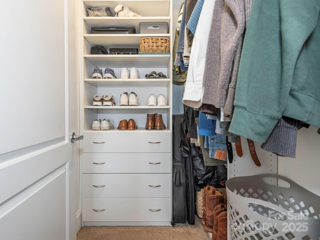 view of walk in closet