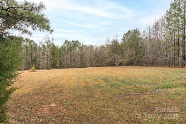 view of yard featuring a forest view