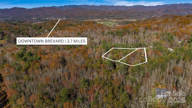 TBD Breezewood Circle 17 & 18, Pisgah Forest NC, 28768 land for sale