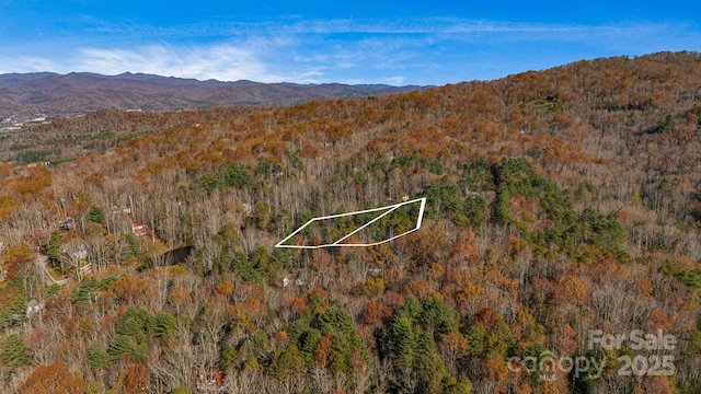 Listing photo 2 for TBD Breezewood Circle 17 & 18, Pisgah Forest NC 28768