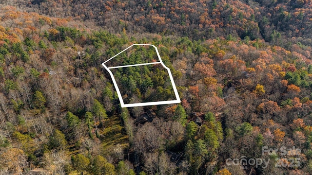 Listing photo 3 for TBD Breezewood Circle 17 & 18, Pisgah Forest NC 28768