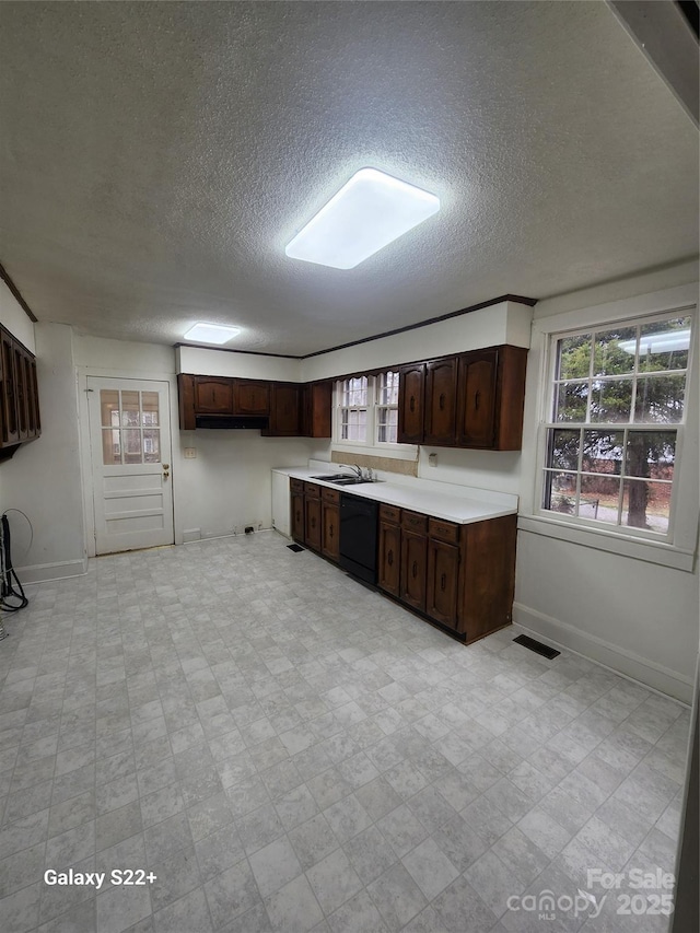 kitchen featuring dark brown cabinetry, light floors, visible vents, and a sink