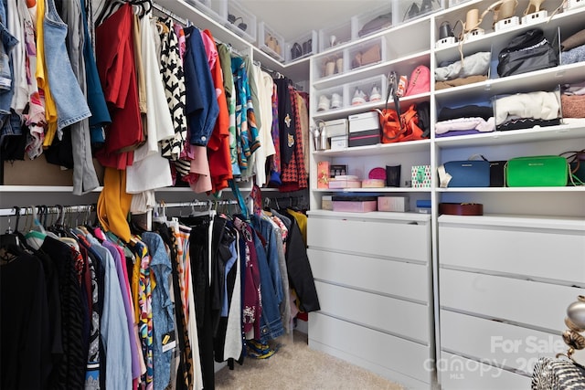 walk in closet featuring carpet floors