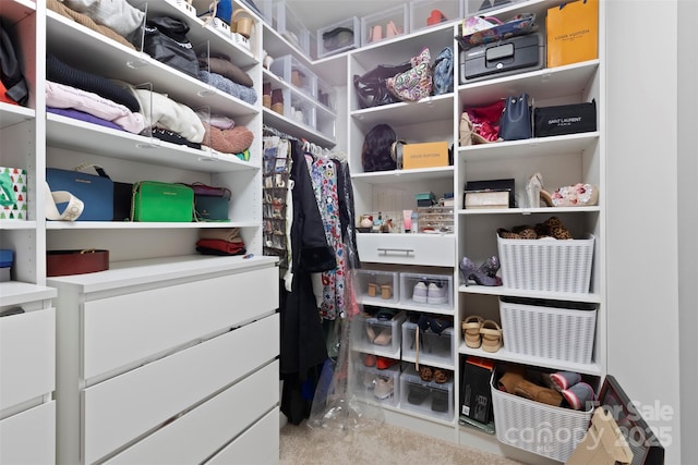 view of spacious closet