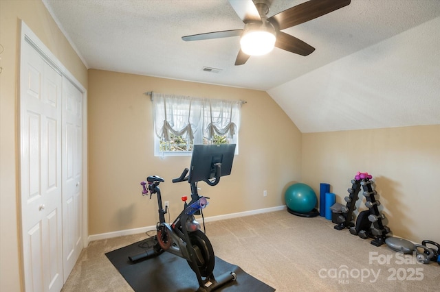 exercise area with visible vents, a textured ceiling, lofted ceiling, and carpet