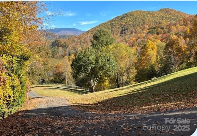 mountain view featuring a wooded view