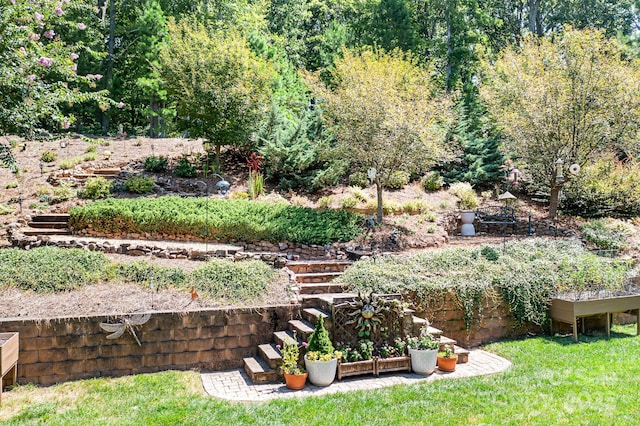 view of yard with a vegetable garden