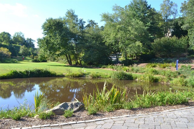 407 Melnick Ter Unit 15B, Asheville, NC 28803
