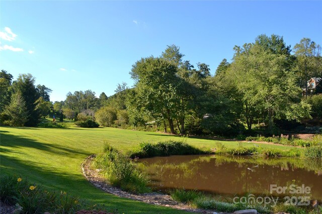 407 Melnick Ter Unit 15B, Asheville, NC 28803