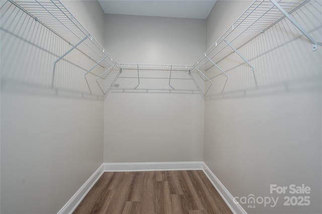 spacious closet featuring wood finished floors