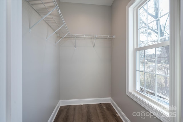 spacious closet with dark wood-type flooring