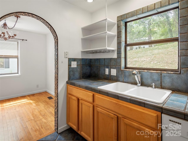 kitchen featuring tasteful backsplash, white dishwasher, plenty of natural light, and a sink