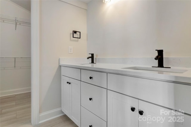 full bath featuring wood finished floors, a sink, and a walk in closet