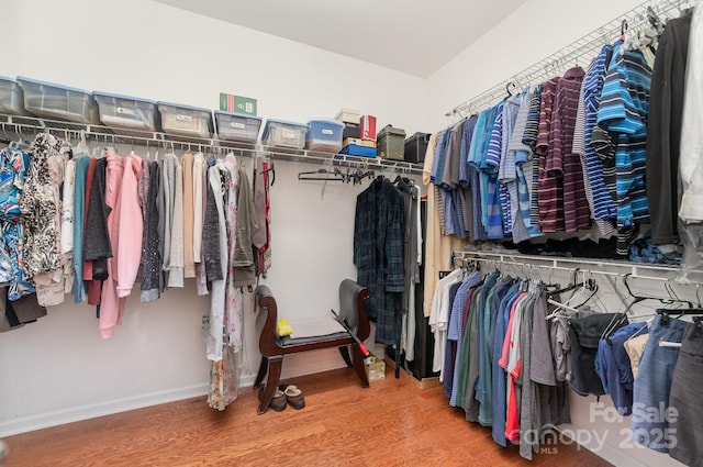 spacious closet featuring wood finished floors