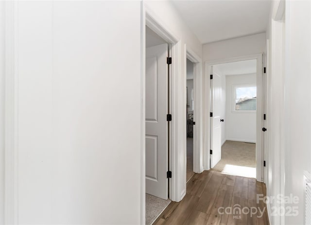 corridor featuring dark wood-style flooring