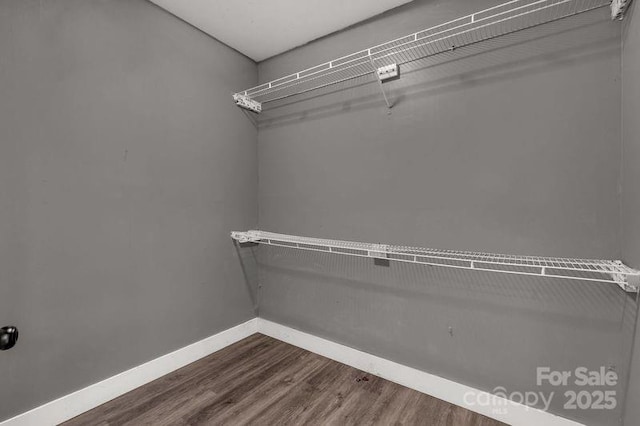 walk in closet featuring dark wood-type flooring