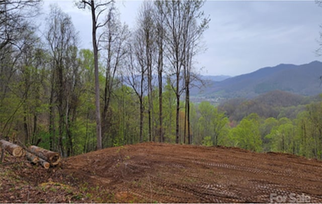 00 Mountain Lake Dr Unit 330, Waynesville NC, 28785 land for sale