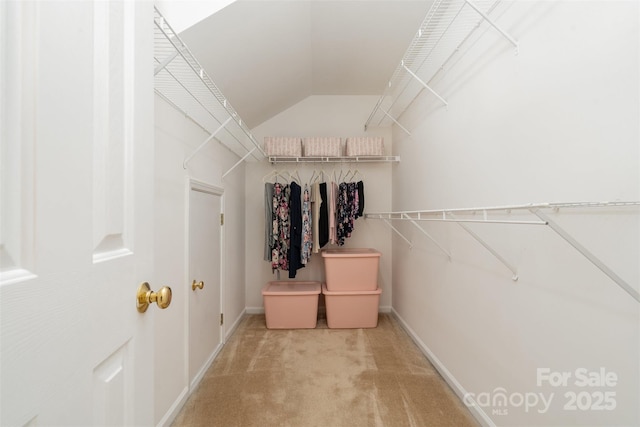 spacious closet featuring light colored carpet and vaulted ceiling