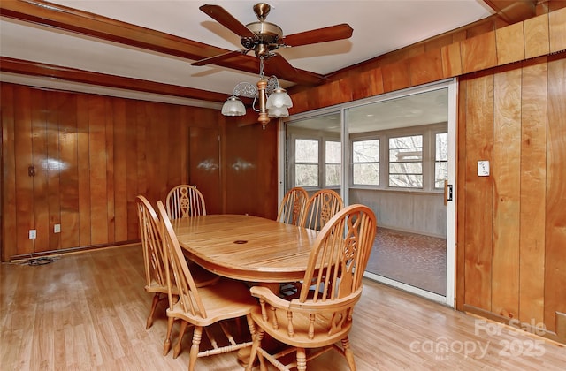 dining area featuring ceiling fan, wood walls, and light wood finished floors