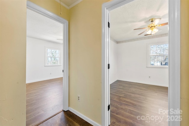 hallway featuring plenty of natural light, baseboards, wood finished floors, and ornamental molding