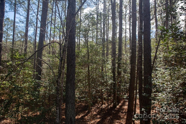 Listing photo 3 for 4155 Persimmon Rd, Lancaster SC 29720