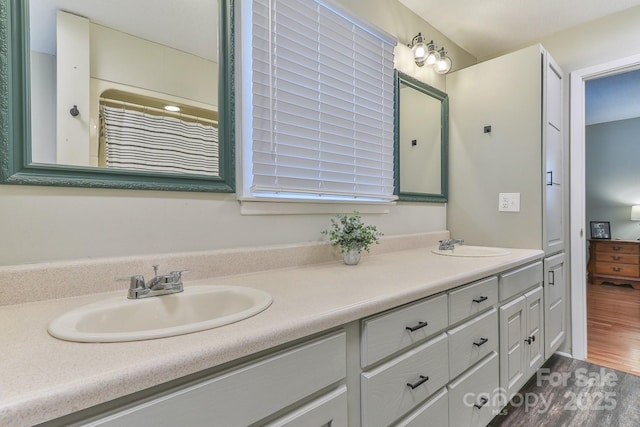 full bathroom with double vanity, wood finished floors, and a sink