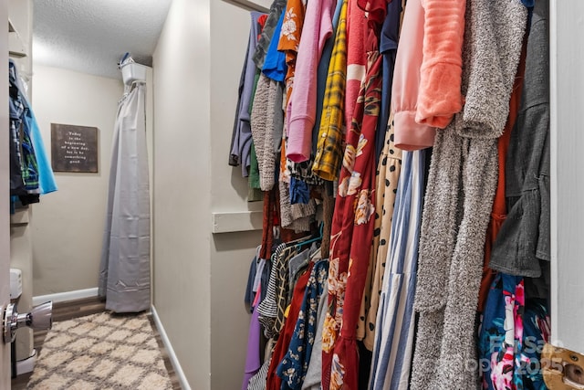 2609 Raintree St, Connelly Springs, NC 28612 - view of spacious closet