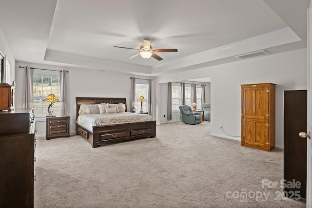 bedroom with carpet, visible vents, and a raised ceiling