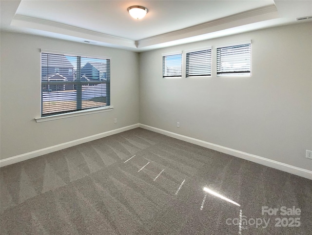 carpeted spare room with a wealth of natural light, a tray ceiling, and baseboards