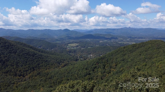 TBD Billy Cove Rd, Candler NC, 28715 land for sale