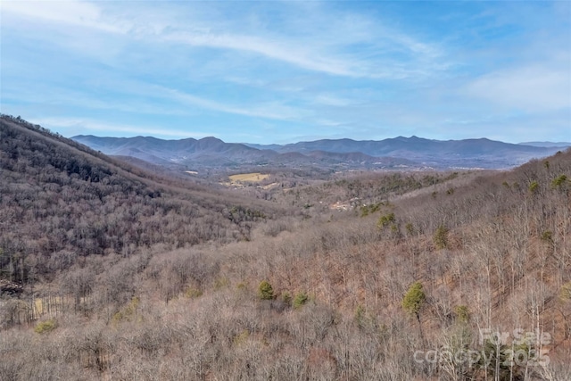 Listing photo 3 for TBD Billy Cove Rd, Candler NC 28715