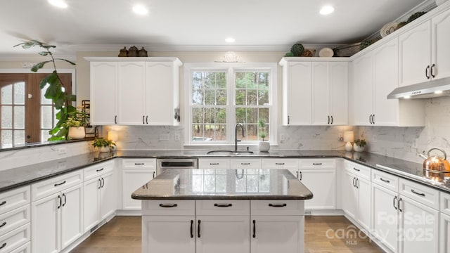 kitchen featuring dark stone countertops, ornamental molding, under cabinet range hood, and a sink