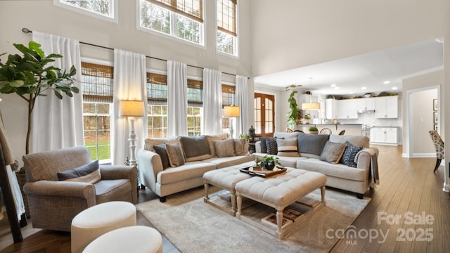 living room with light wood-type flooring, a healthy amount of sunlight, a towering ceiling, and crown molding