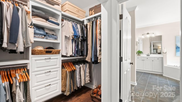 view of spacious closet